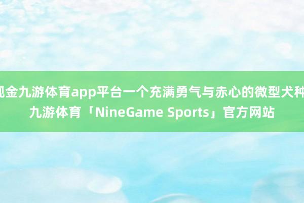 现金九游体育app平台一个充满勇气与赤心的微型犬种-九游体育「NineGame Sports」官方网站
