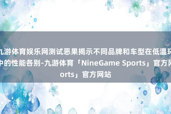 九游体育娱乐网测试恶果揭示不同品牌和车型在低温环境中的性能各别-九游体育「NineGame Sports」官方网站