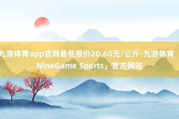 九游体育app官网最低报价20.60元/公斤-九游体育「NineGame Sports」官方网站