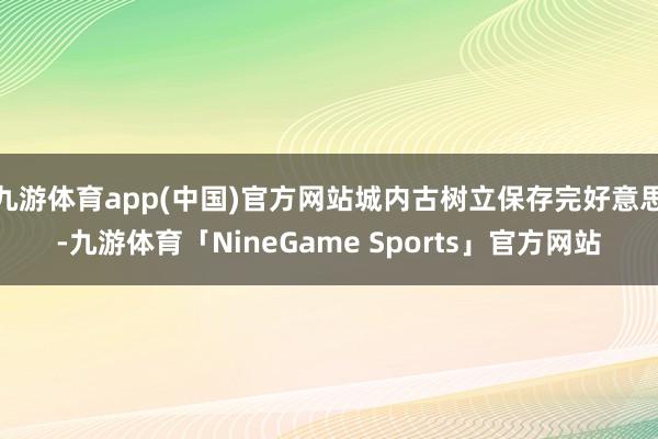 九游体育app(中国)官方网站城内古树立保存完好意思-九游体育「NineGame Sports」官方网站