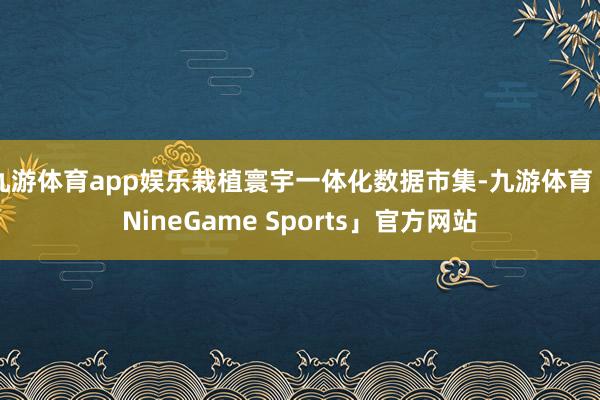 九游体育app娱乐栽植寰宇一体化数据市集-九游体育「NineGame Sports」官方网站